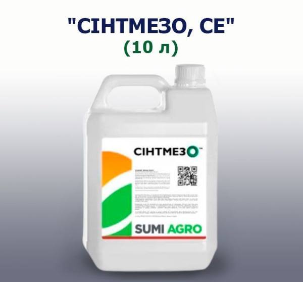 Сінтмезо, СЕ